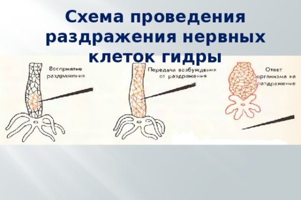 Кракен маркет зеркало