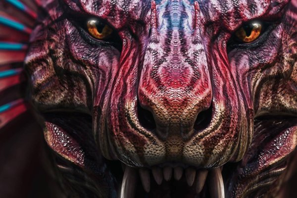 Как найти kraken
