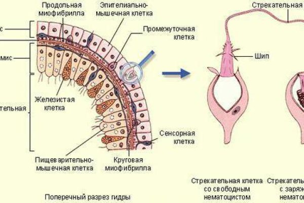 Кракен это современный даркнет