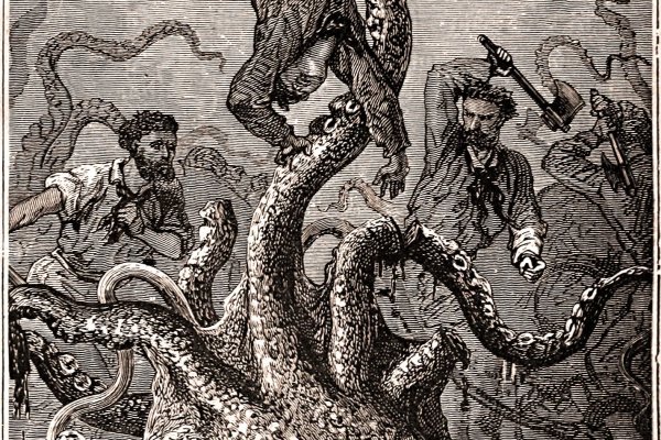 Kraken cc
