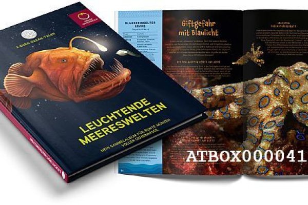 Кракен современный маркетплейс