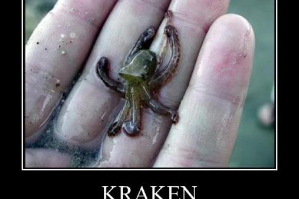 Ссылка на кракен тор kraken2 4aa337