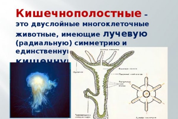 Kraken зеркала gigageek ru