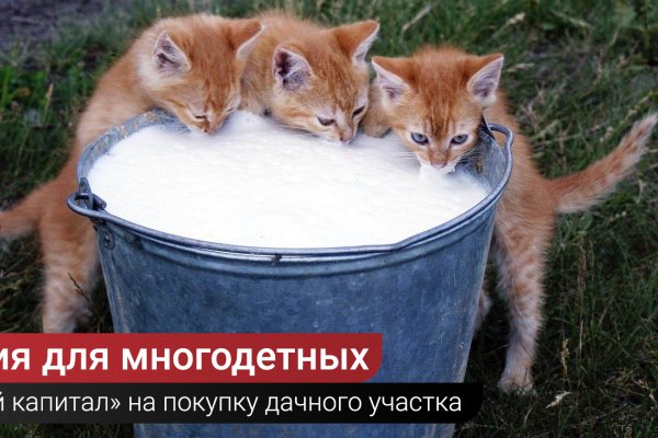 Рабочий кракен
