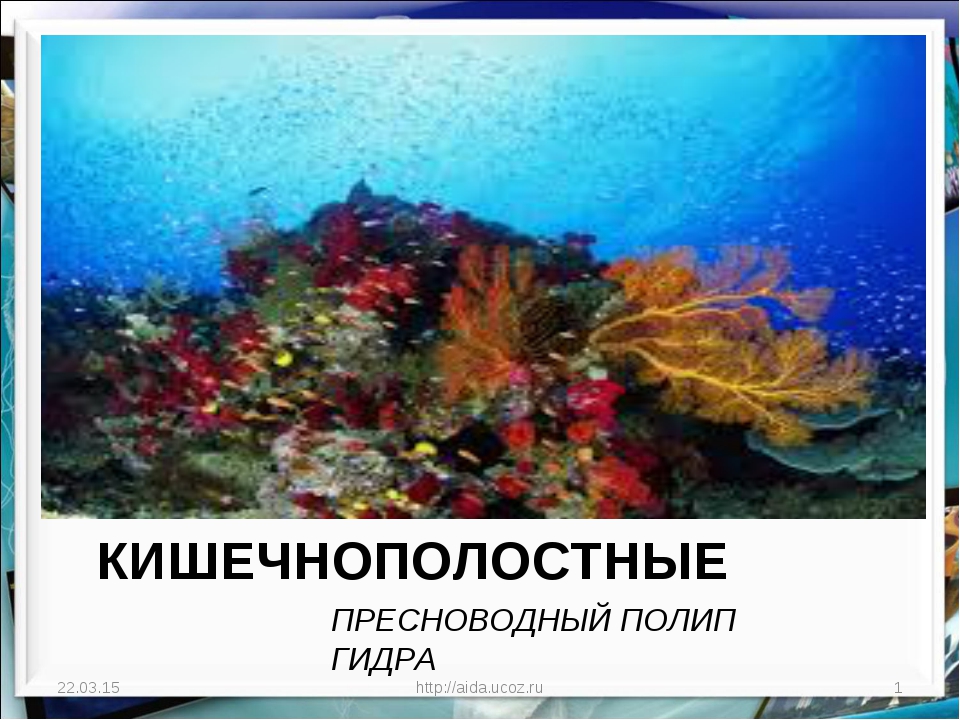 Кракен переход