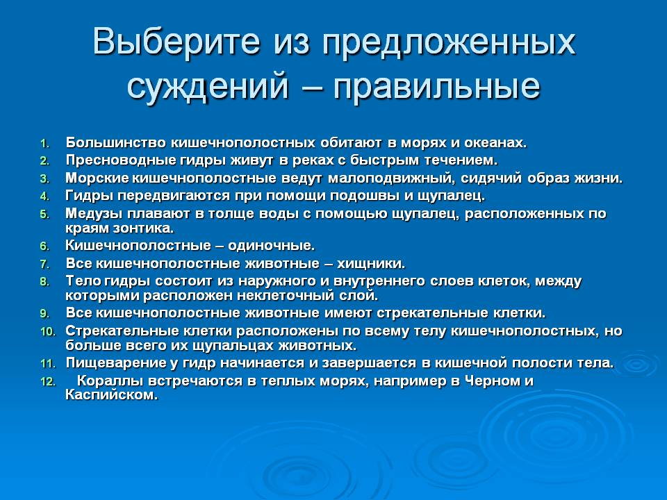 Сайт кракен официальный ссылка onion
